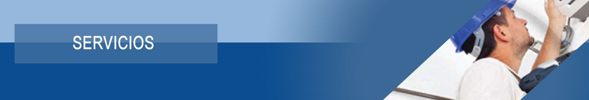 servicios_2.jpg