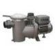 WINNER 150 M 60 HZ (SACI) AUTOMATIC
