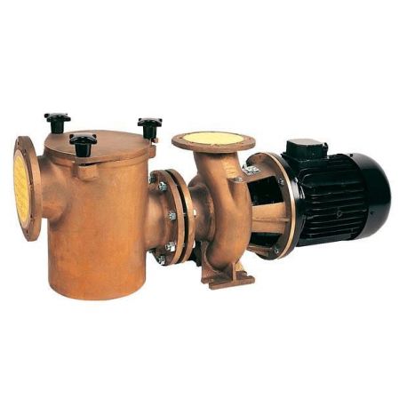 IE2 BR-2 750 -BRONCE- 230/400 VOLT.ESP.